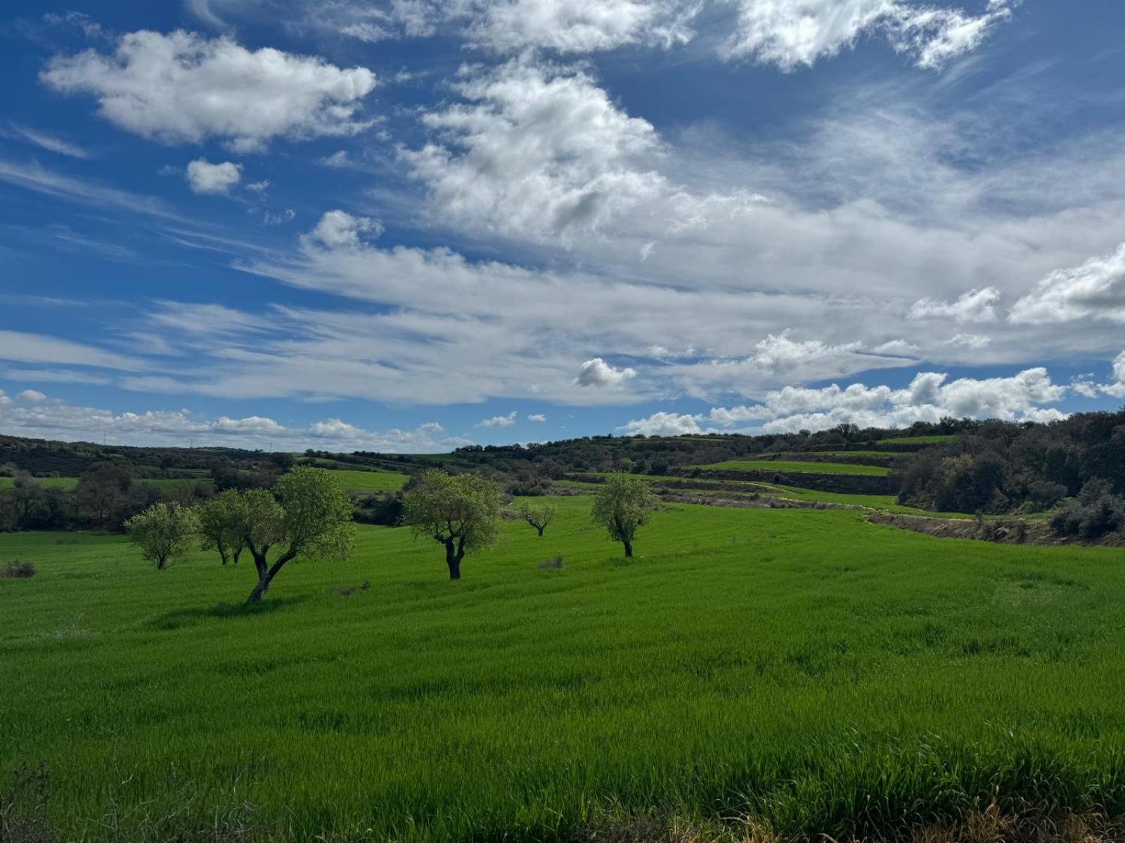 Masia De Queralt Luxury Casa Rural Spa Y Vistas Concabella Esterno foto